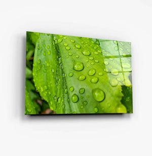 Green Glass Wall Art