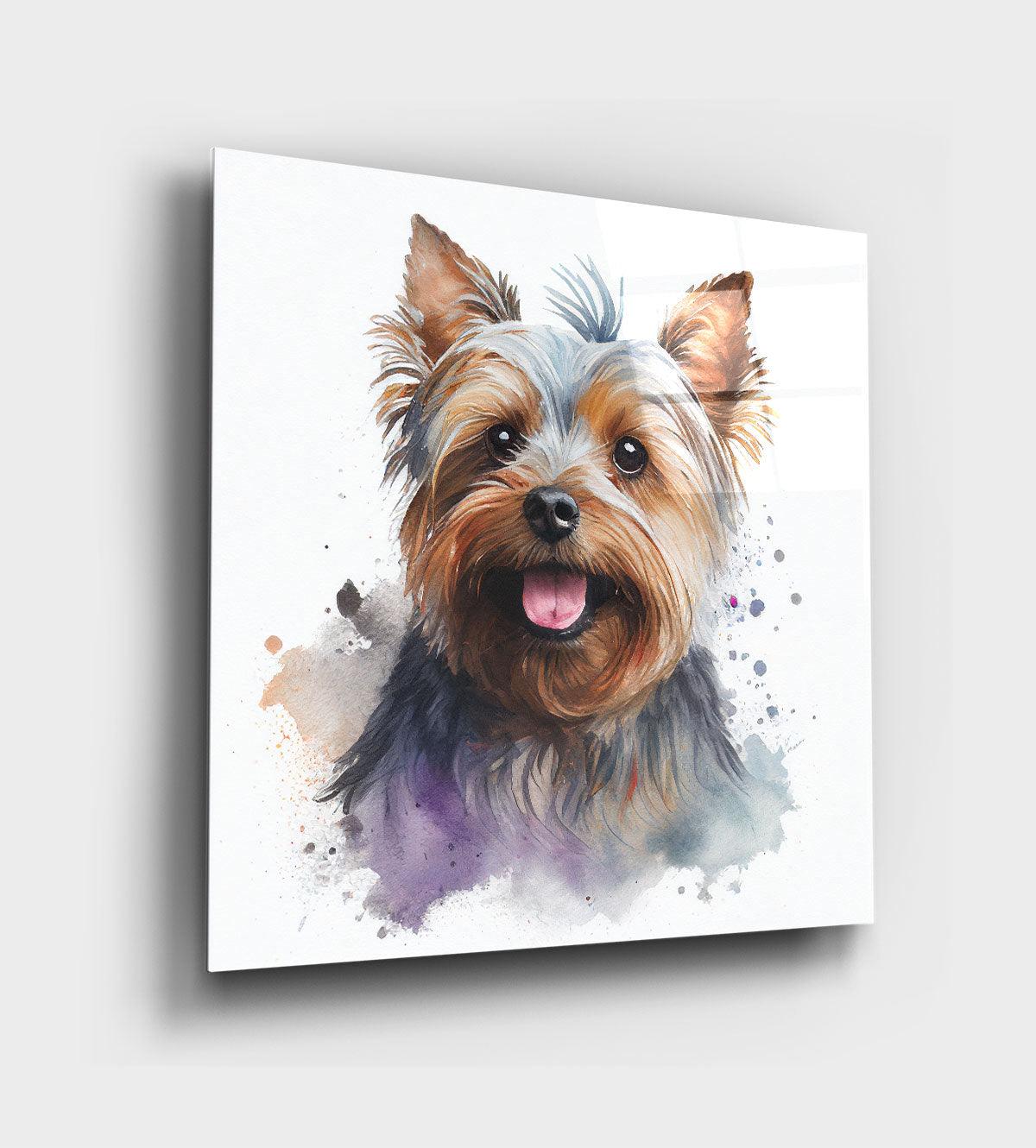 Yorkshire terrier smiling sales