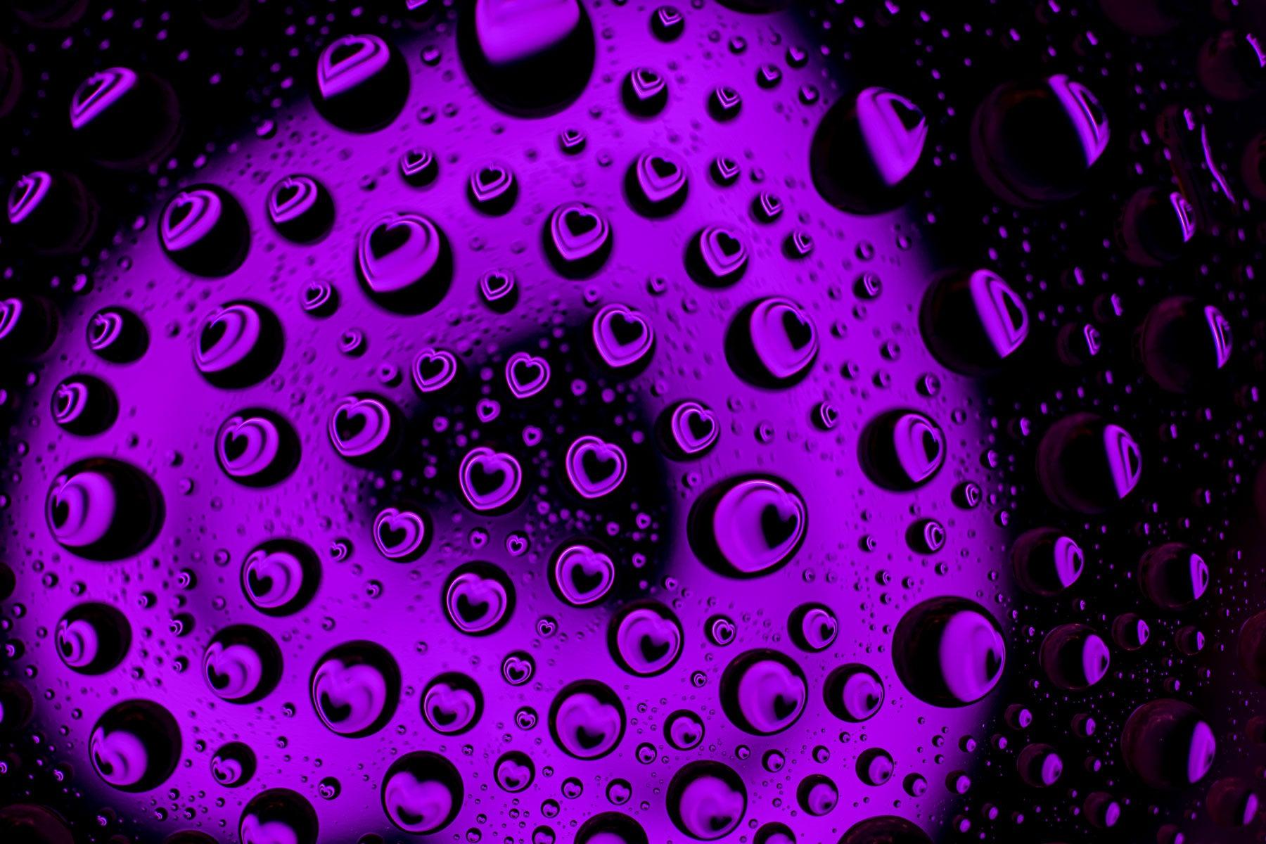 Splendfy